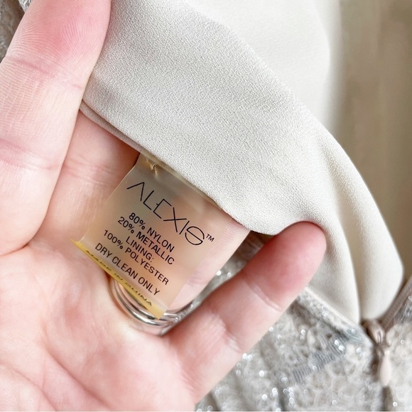 Alexis Isabella Maxi Gown in Silver Blush Small Formal Evening Black Tie - Picture 9 of 9